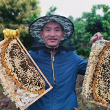 视频|涟源：万亩脐橙花绽放 引来追花“赶蜂人”