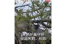 5a0751cd8dce4e0a9c852e308a74e452.png