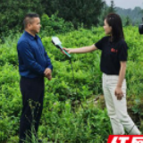 “直播带货”为脱贫注入“云端”力量