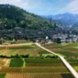 抓好“三个工程”提升村级现代化治理水平