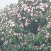 春节偶记｜正月初一登高捡“财”