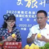 后疫情时期，助力乡村振兴企业何为？