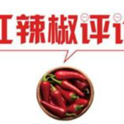独家述评 | 民主，在美好生活的点滴中