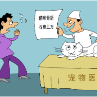 漫画 | 看病比人贵