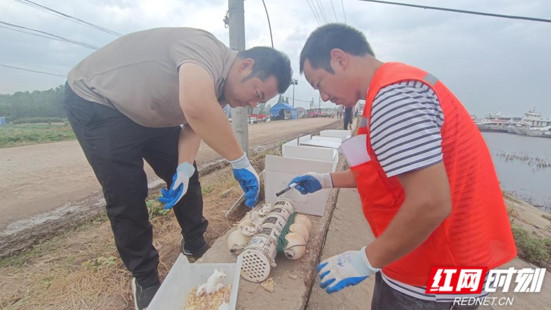 b1a70490-2fa0-4350-8500-d34ac67943f1.jpg b1a70490-2fa0-4350-8500-d34ac67943f1.jpg