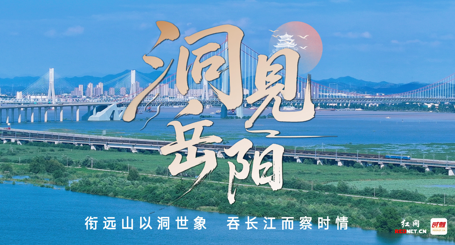 洞见岳阳.png 洞见岳阳.png