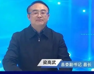 县长喊话“回家过年”为何走红