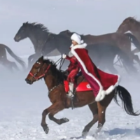 舆评 | 聊聊新疆日报婉拒为贺娇龙立塑像这件事