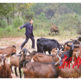 脱贫莫等靠，产业是“珍宝”