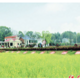 人居环境整治，让三湘大地更美丽