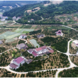 常德石漠地,结出脱贫果