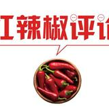 【地评线】红辣椒网评：“领导满意”的本意就是“群众满意”