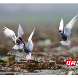 唐宇文：“十四五”时期加快推进洞庭湖生态经济区建设的思考