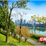 织就湖南“全域美丽大花园”的新图景