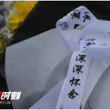 一粒稻种里的天地人心——和梁尔源先生纪念袁隆平