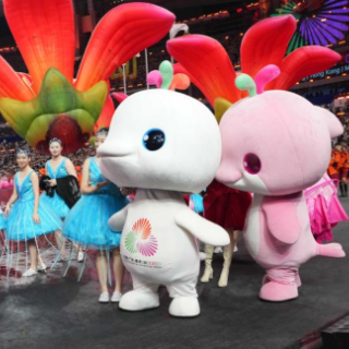 追光｜“大湾鸡”，紧急调头