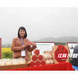 湖南老字号武冈“银记青公空饼”油菜花节展风采