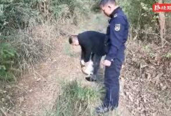 只因生态好  天上掉下“宝”！隆回发现国家二级保护动物草鸮