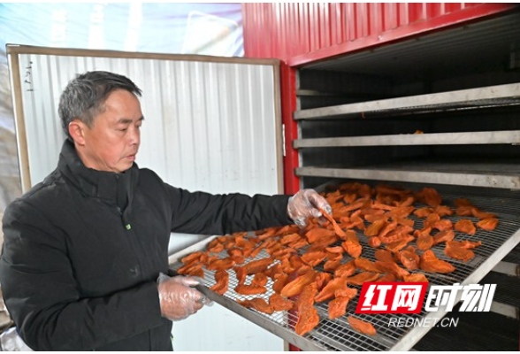 隆回罗洪镇：清甜红薯片成“香饽饽”