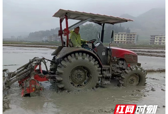 隆回： 盘活“沉睡地”种好饭碗田