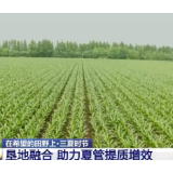 在希望的田野上·三夏时节 | 推进垦地融合 助力夏管提质增效