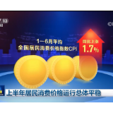 上半年居民消费价格运行总体平稳