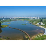 新华全媒+｜携手呵护母亲河——黄河流域省际横向生态补偿的新实践