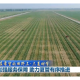 在希望的田野上·三夏时节丨加强服务保障 助力夏管有序推进