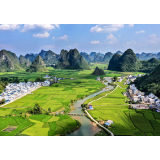 千里边疆党旗红！广西持续夯实固边兴边基石