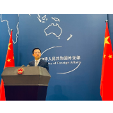 赵立坚：美国系统性、普遍性种族歧视愈演愈烈