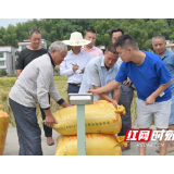 隆回：“隆两优8612”超级稻平均亩产达1105.6公斤