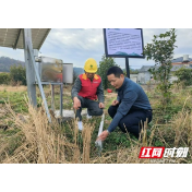 乡村振兴丨湘潭供电“村网共建”助力小乡村焕新颜