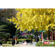 湖南下周迎初雪？气象专家：现在预判降雪过早，但大幅降温是真！