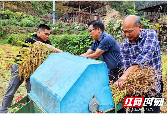 苦练“铁脚板” 甘当“和事佬” 常怀“热心肠”——隆回县林业局驻杨柳村工作队纪实