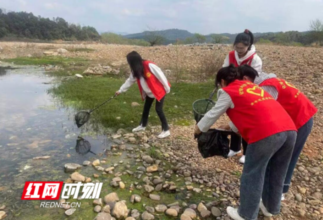 湖南科技学院师生学雷锋   南津渡大坝涌现“志愿红”