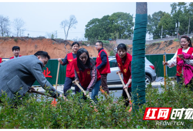 “植”此青绿爱撒湖铁  湖南铁道职院开展教职工志愿者植树活动