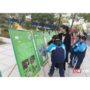 常德石门：生态教育进课堂 将野生动物“带下山走进城”