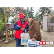 致敬雷锋丨国网新化县供电公司：践行“雷锋精神” 助力乡村振兴