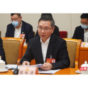 两会湘声丨陈恢清：支持长株潭都市圈加快打造全国重要增长极