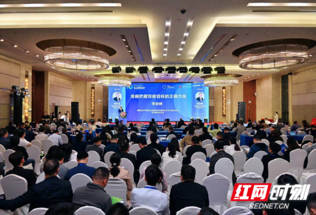 第十届新能源应用暨智慧能源创新发展高峰论坛在长沙举行