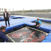 在推进中国式现代化建设中走在前列——习近平总书记广东考察回访