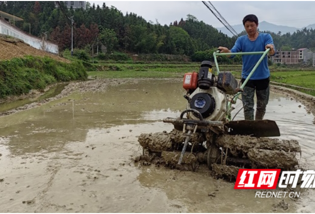 绥宁县关峡乡：“铁牛”下田助力春耕水稻生产