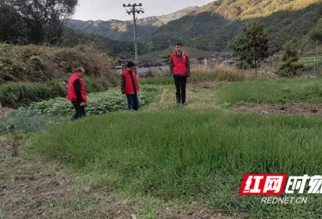绥宁县麻塘乡：多措并举扎实开展春季禁毒宣传活动