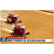 新思想引领新征程丨藏粮于地藏粮于技 夯实粮食安全根基