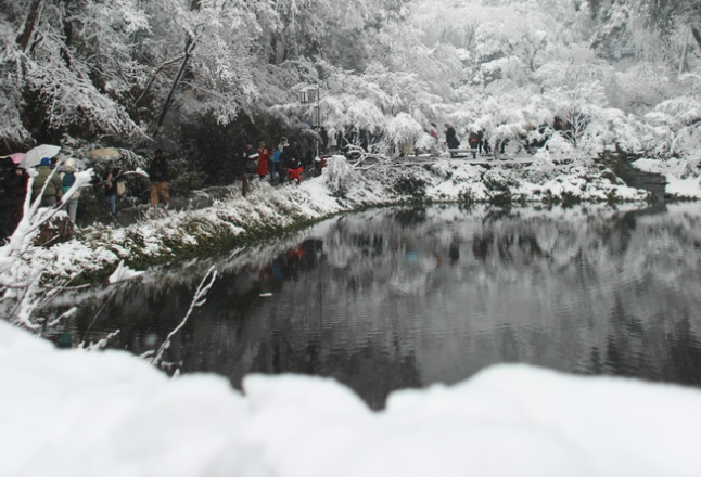 组图丨雪中岳麓 墨染如仙境