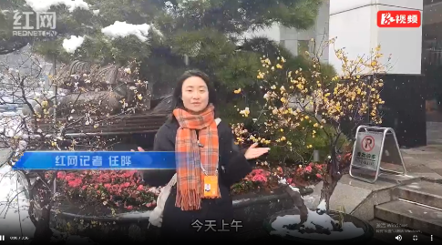 视频丨迎着风雪，热情不减，湖南省十四届人大二次会议代表报到