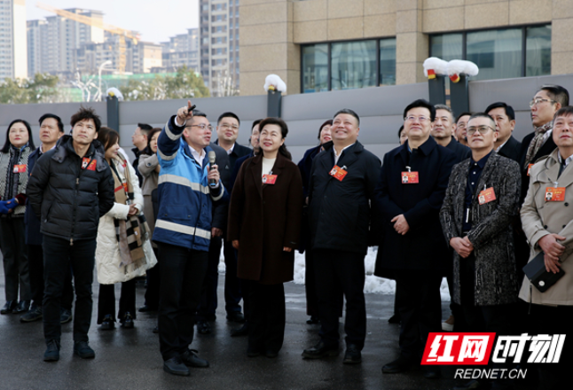 湖南省政协港澳委员和海外顾问团成员在长沙视察
