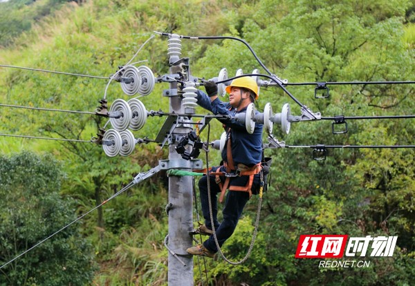 湖南供电线路“一停多用”综合检修 力争迎峰度冬前健康“上岗”