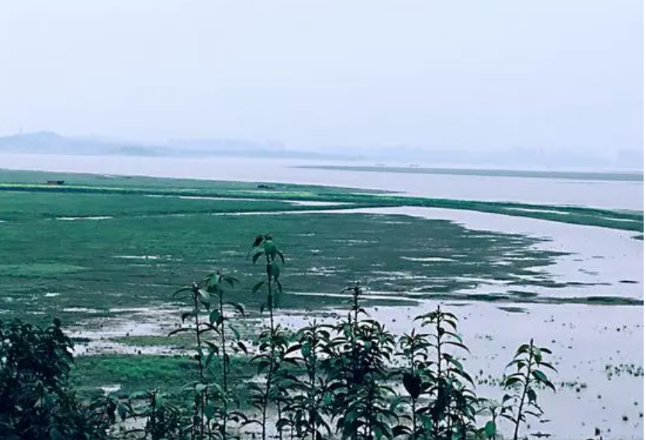 春节期间洞庭湖水位仍呈缓涨趋势 有利于洞庭湖区春耕灌溉