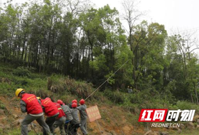 湖南“拉网式”供电线路通道治理确保“电力生命线”运行